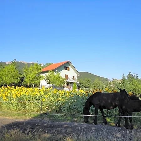 House Oda ve Kahvaltı 3*