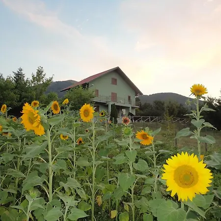 Frühstückspension House Morano Calabro