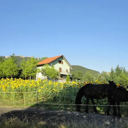 Frühstückspension House