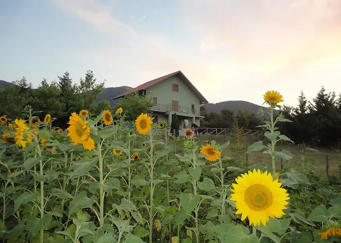 住宿加早餐酒店 House 莫拉诺卡拉布罗