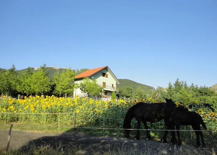 住宿加早餐酒店 House