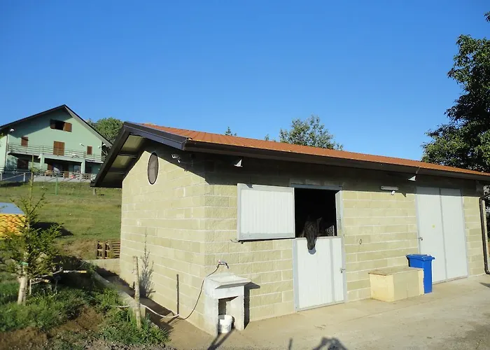 House 住宿加早餐酒店 莫拉诺卡拉布罗